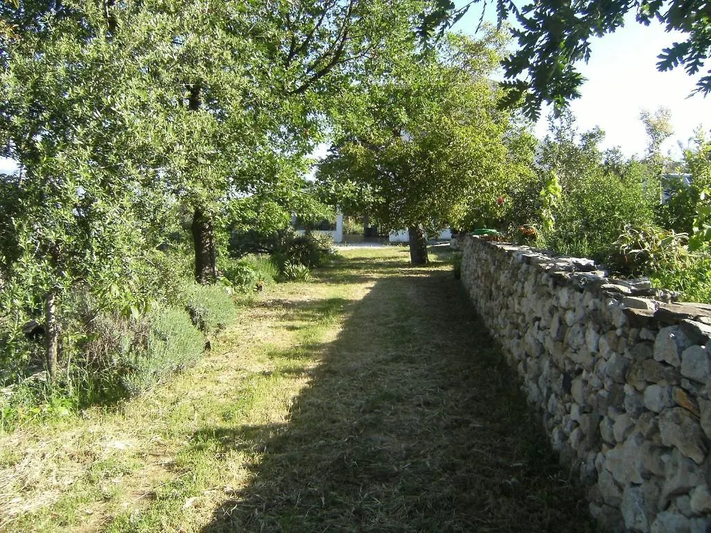 Villa Sospisches Oliena
