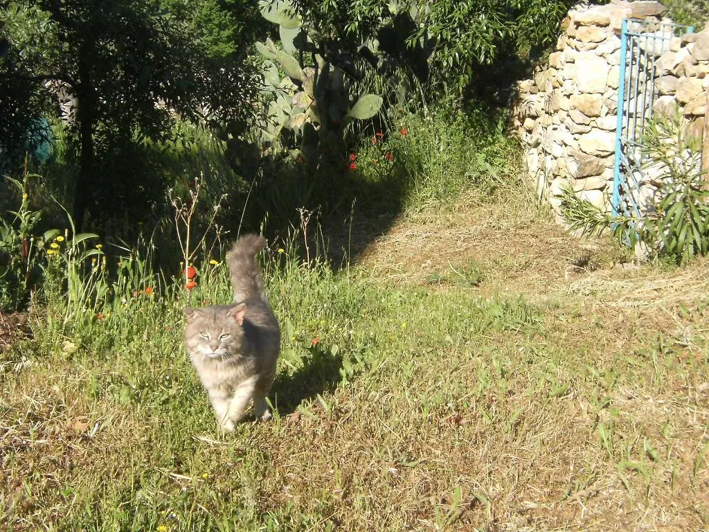 Villa Sospisches Oliena Vakantiehuis