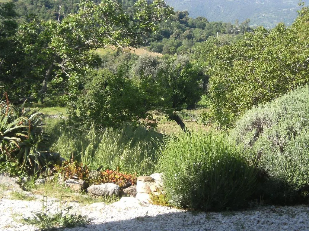 Villa Sospisches Oliena